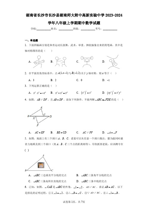 湖南省长沙市长沙县湖南师大附中高新实验中学2023-2024学年八年级上学期期中数学试题