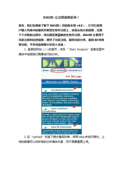 DAVID-让注释简单起来！