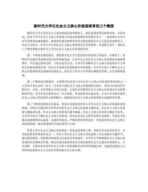 新时代大学生社会主义核心价值观培育的三个维度