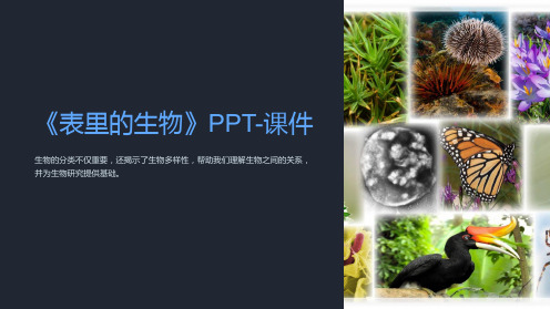 《表里的生物》PPT-课件