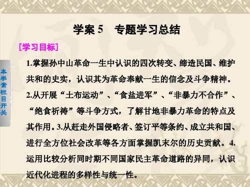 高中历史人民版选修4同步课件+专题总结专题4 “亚洲觉醒”的先驱 4.5 专题总结 ( 18张PPT)