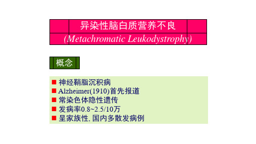 异染性脑白质营养不良