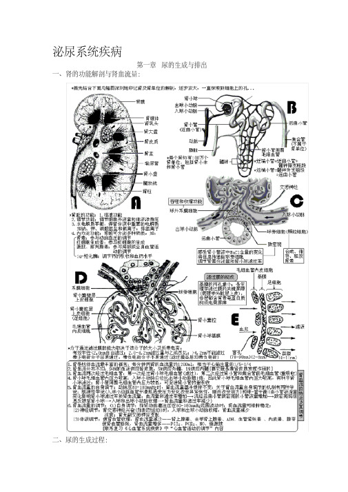 西医综合_泌尿系统疾病(生理+病理+内科+外科)