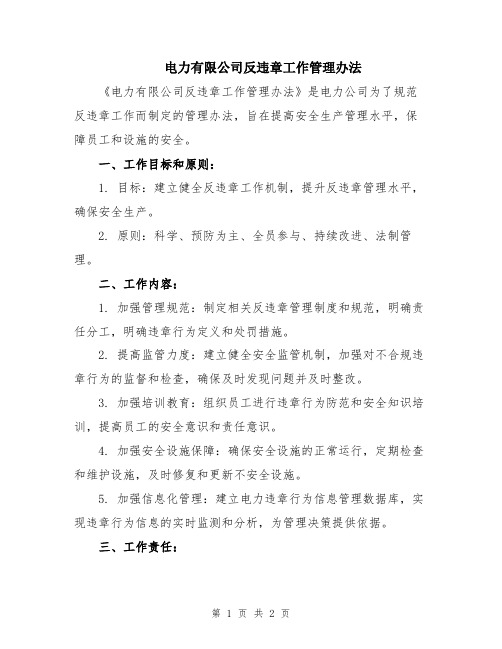 电力有限公司反违章工作管理办法