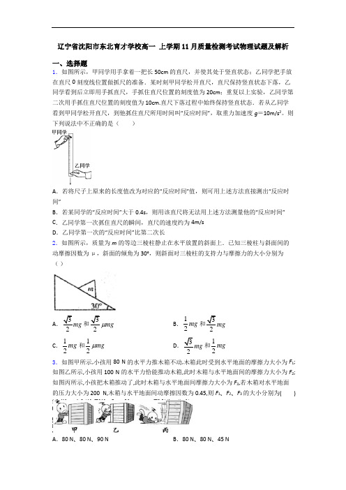 辽宁省沈阳市东北育才学校高一 上学期11月质量检测考试物理试题及解析