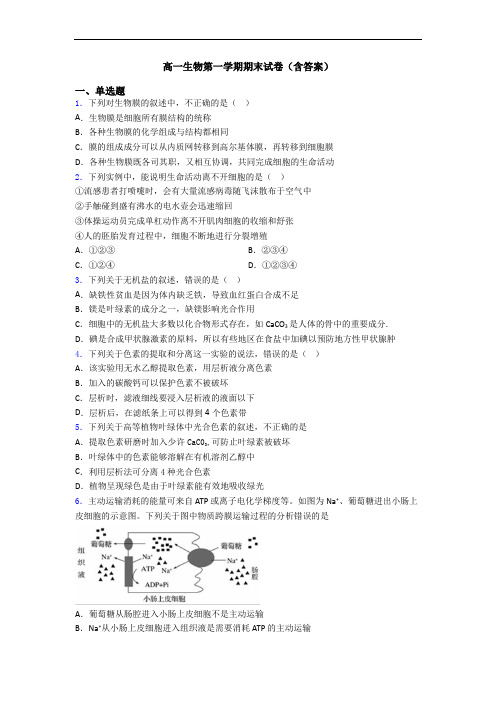 高一生物第一学期期末试卷(含答案)