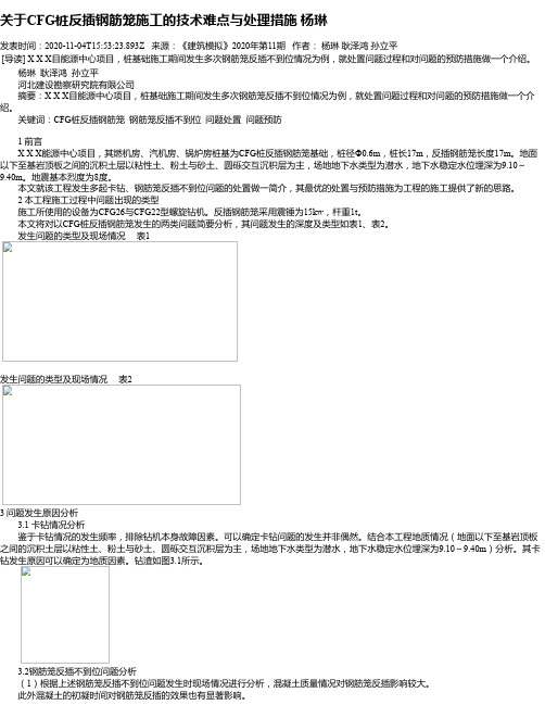 关于CFG桩反插钢筋笼施工的技术难点与处理措施 杨琳