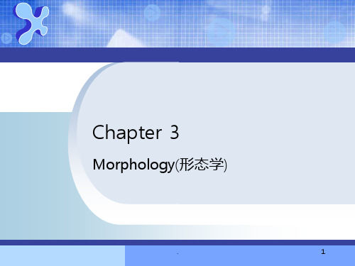 Morphology(形态学)PPT课件