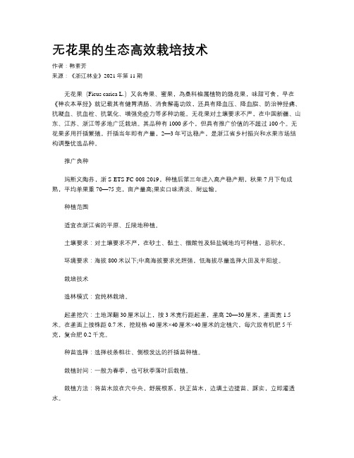 无花果的生态高效栽培技术 