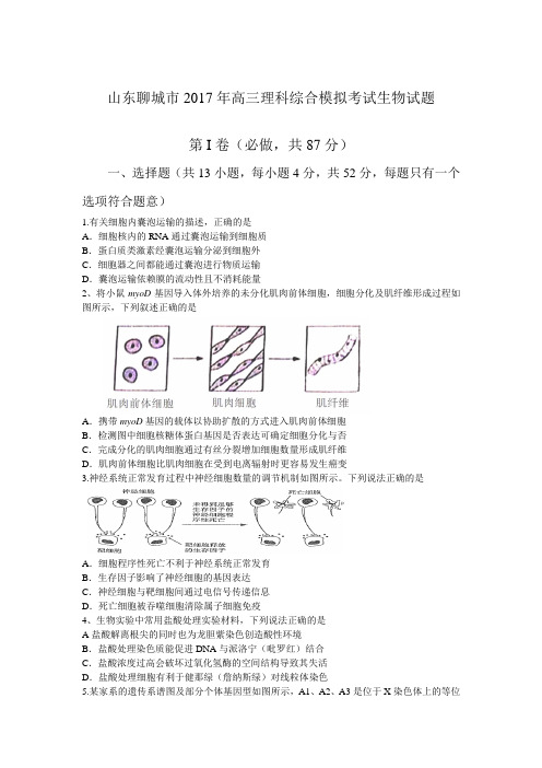 山东聊城市2017年高三理科综合模拟考试生物试题(含答案)