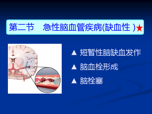 内科护理学-神经系统疾病病人护理PPT课件PPT课件