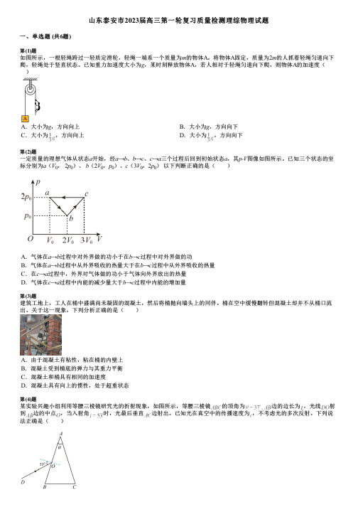 山东泰安市2023届高三第一轮复习质量检测理综物理试题