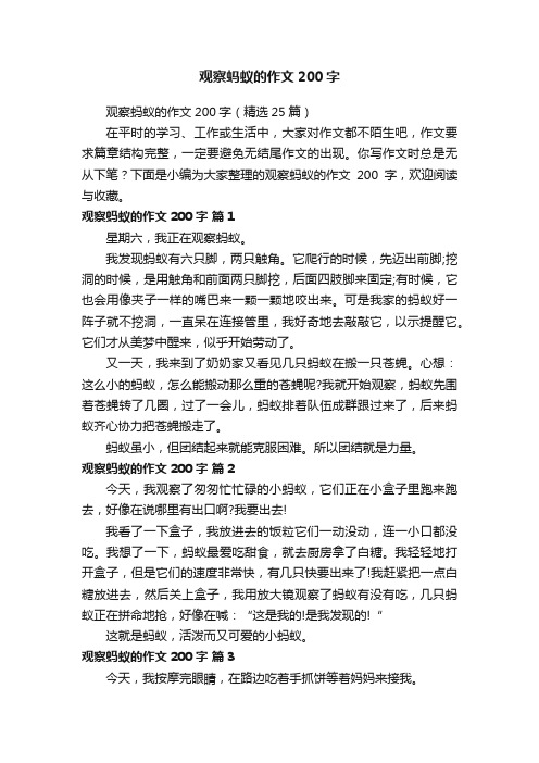 观察蚂蚁的作文200字（精选25篇）