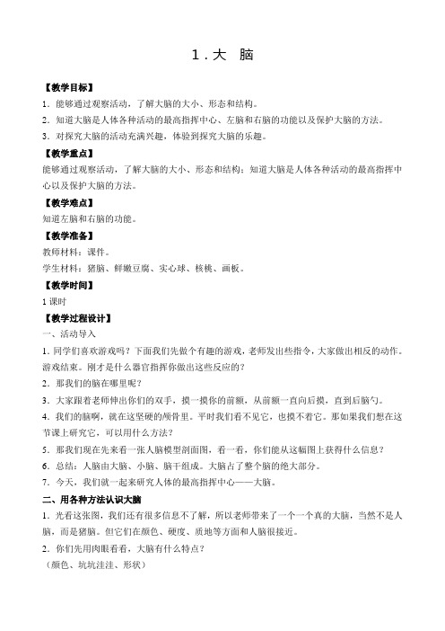 苏教版小学科学五年级下册第五单元《1.大脑》教学设计3