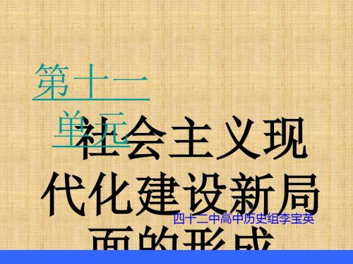 高三历史高考社会主义现代化建设新局面的形成(复习)名师课件