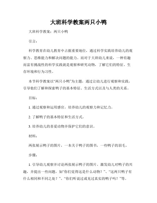 大班科学教案两只小鸭