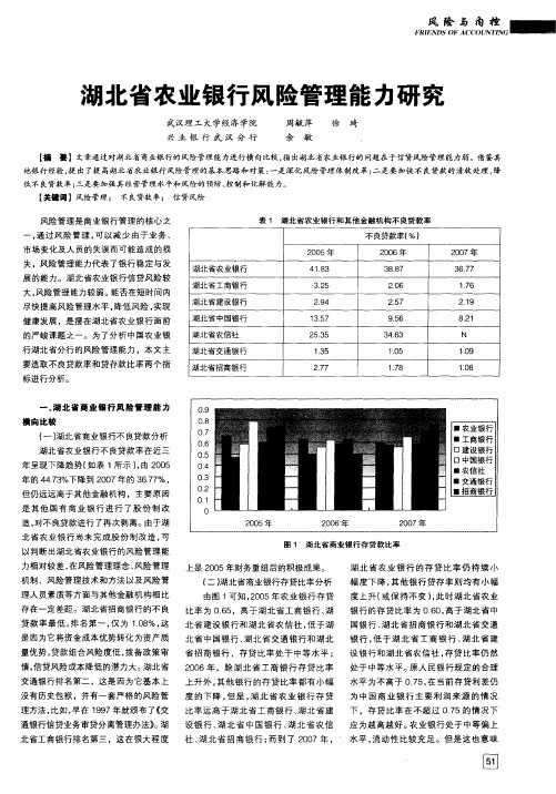 湖北省农业银行风险管理能力研究