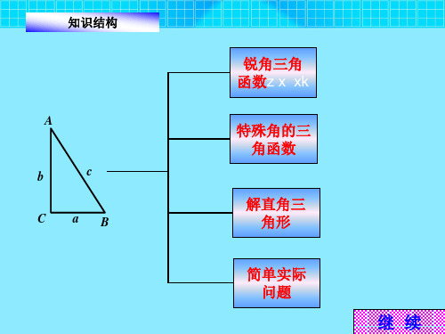 锐角三角函数复习.ppt