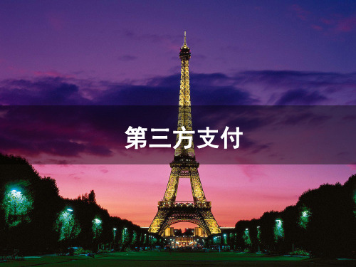 郑建鹏第三方支付