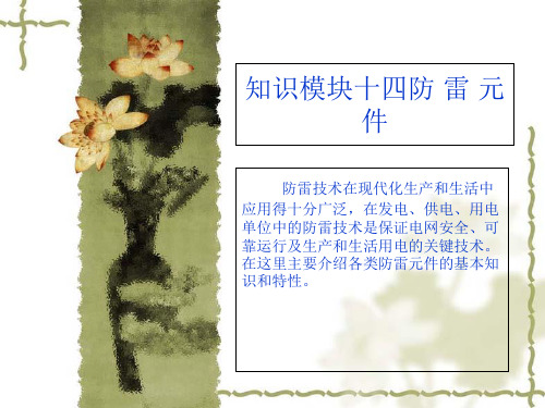 大学物理课件防雷技术