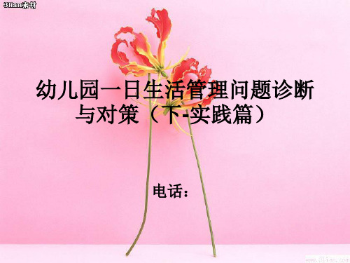 幼儿园一日生活管理问题诊断与对策(2)PPT课件