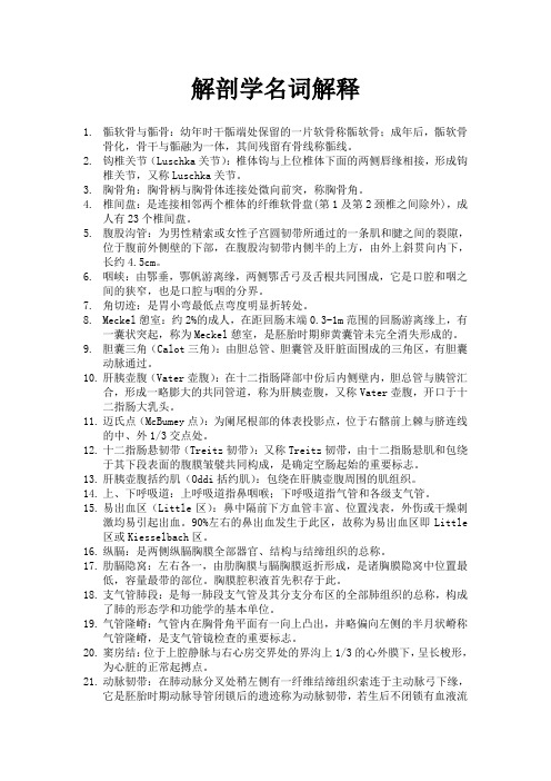 解剖学名词解释精选