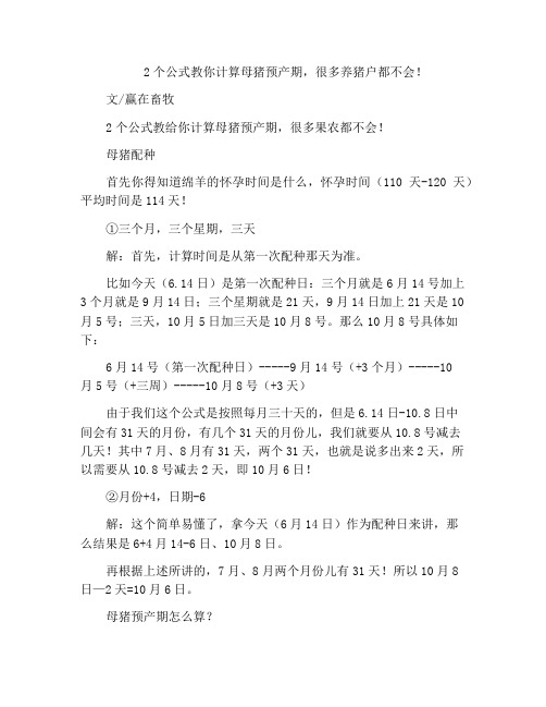 2个公式教你计算母猪预产期,很多养猪户都不会!