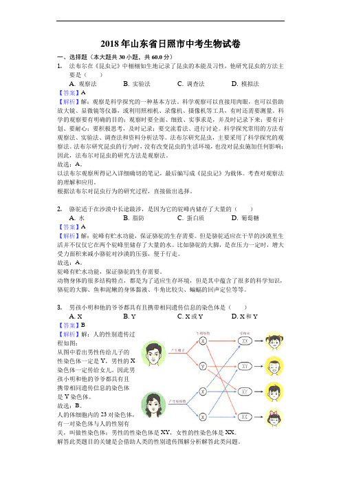 山东省日照市2018年中考生物试题及答案解析(word版)