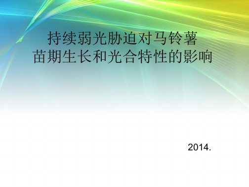 持续弱光胁迫对马铃薯苗期生长和光合特性影响