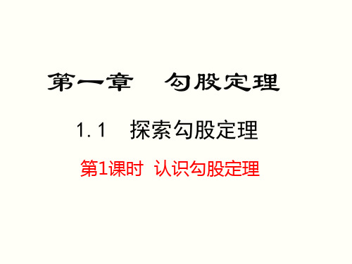 北师大版初中八年级数学上册 1.1.1 认识勾股定理 课件(共20张PPT)