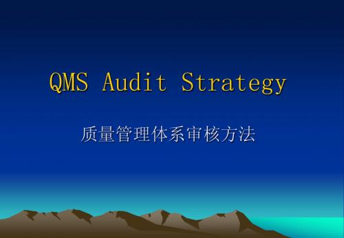 QMS审核方法