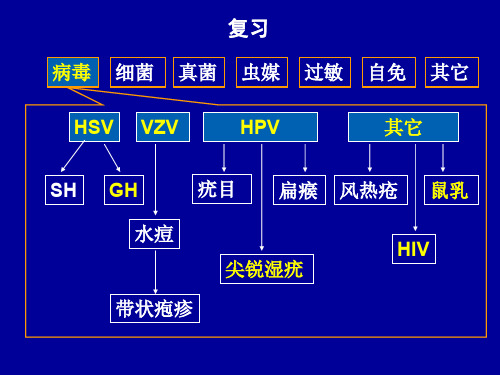 3.虫咬皮炎