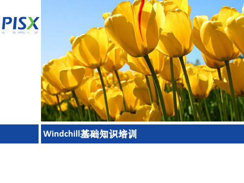 PTC Windchill 培训