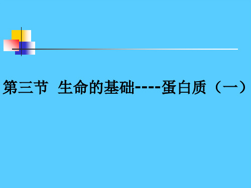 人教版化学选修一1.3《生命的基础—蛋白质》课件PPT