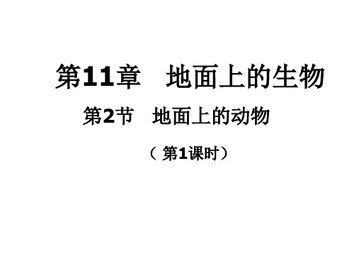 苏科版生物七下5.11.2《地面上的动物》课件 (共28张PPT)