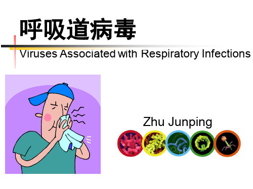 致病性微生物各论-呼吸道病毒