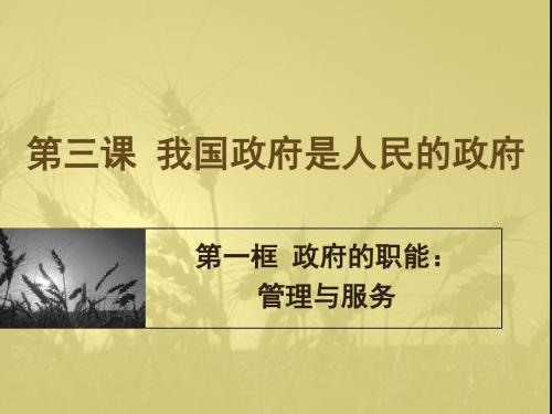 政府的职能：管理与服务PPT课件32 人教课标版