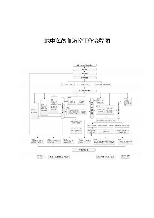 地中海贫血防控工作流程图