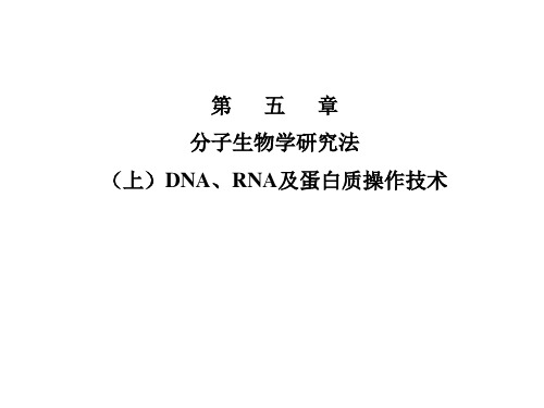 DNA ,RNA及蛋白质操作技术