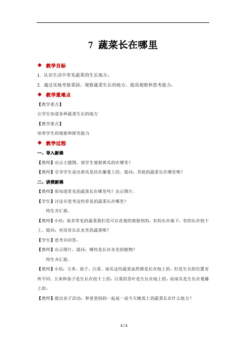 粤教粤科版小学科学一年级上册科学教案7 蔬菜长在哪里 示范教案