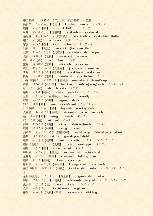 日本语动物名辞典(昆虫类)