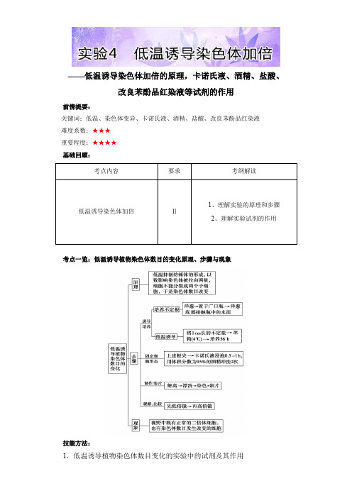 高三生物基础实验(人教版(下))：实验4 低温诱导染色体加倍含解析