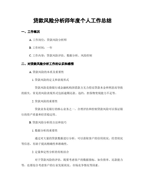 贷款风险分析师年度个人工作总结