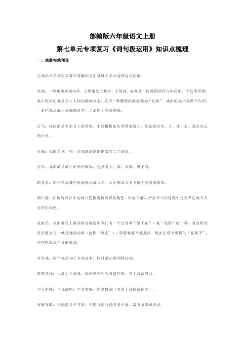 部编版六年级语文上册第七单元专项复习《词句段运用》知识点梳理