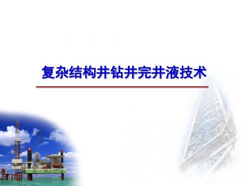 复杂结构井钻井完井液技术