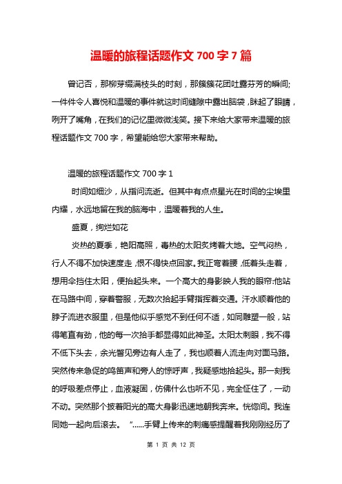 温暖的旅程话题作文700字7篇