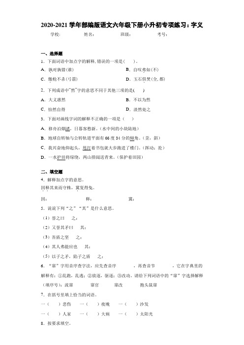 2020-2021学年部编版语文六年级下册小升初专项练习：字义