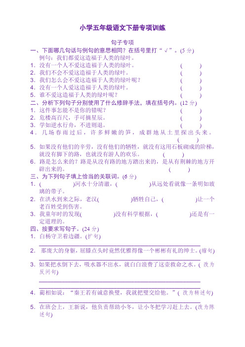 部编版小学语文五年级下册句子专项训练(含答案)