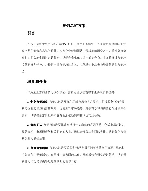 营销总监方案