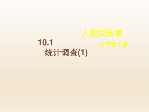 天津市宁河区潘庄镇中学七年级数学下册101统计调查(1)课件(共26张PPT)